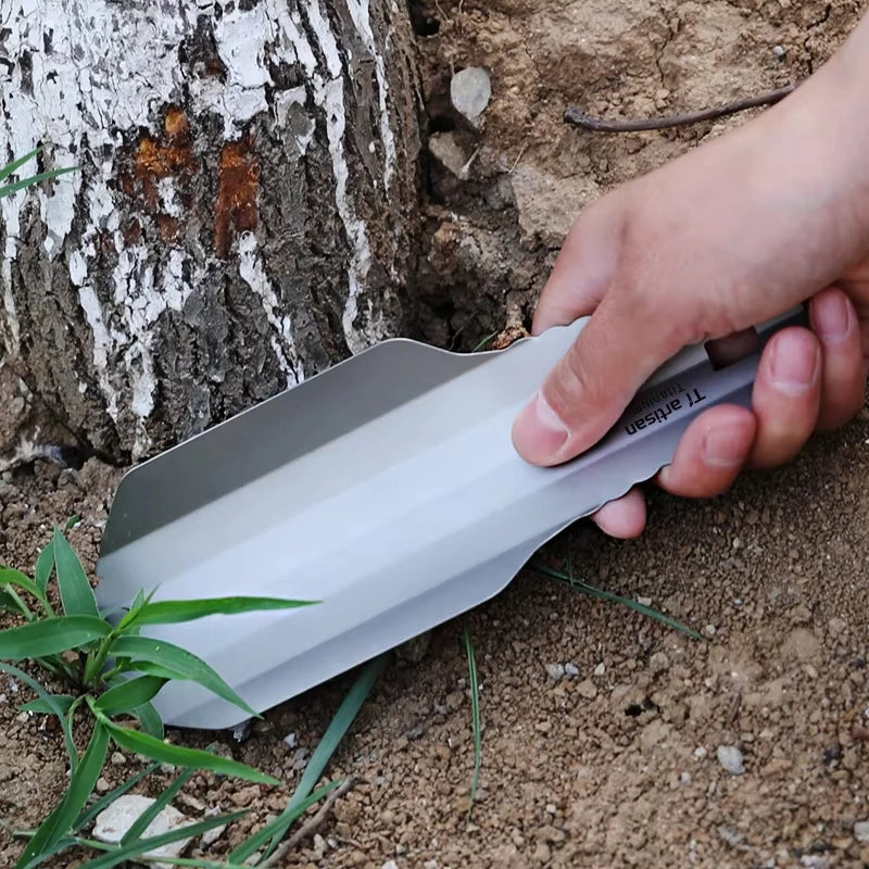 Hand holding a small gardening tool near a tree trunk