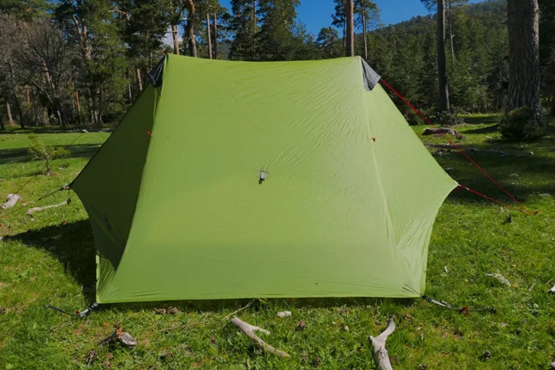 Green camping tent set up in a forest with trees and grass in the background