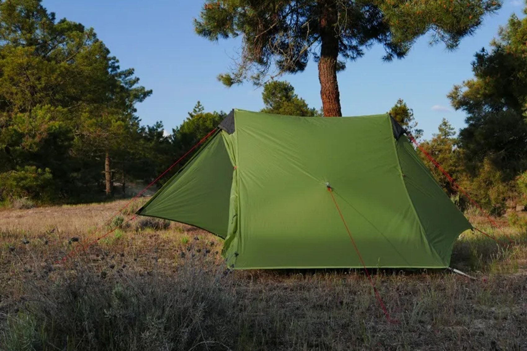 Green camping tent in a forest setting