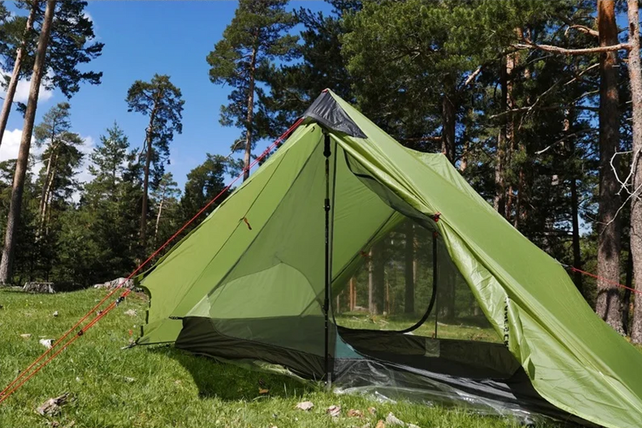 Green camping tent set up in a forest with trees and grass in the background