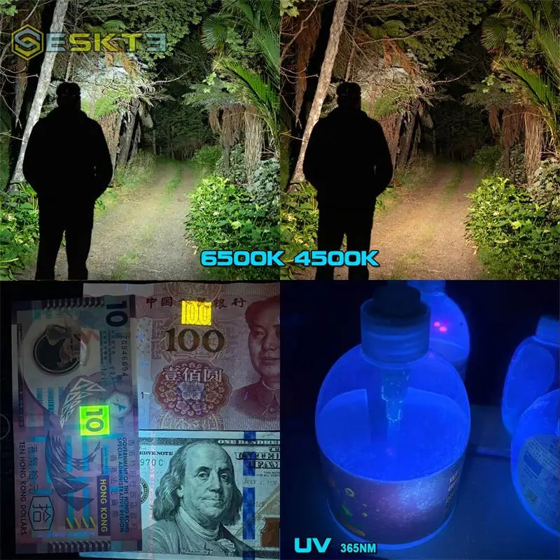Collage showing a person in a dark forest, money under UV light, and bottles with UV light properties.