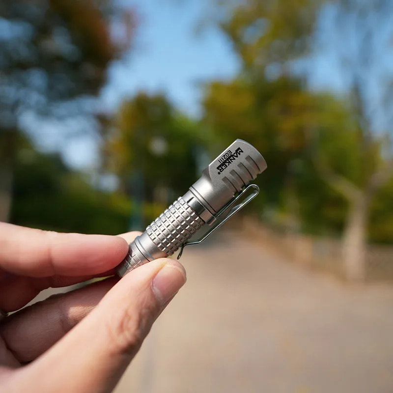 Hand holding a silver torchl with a blurred natural background