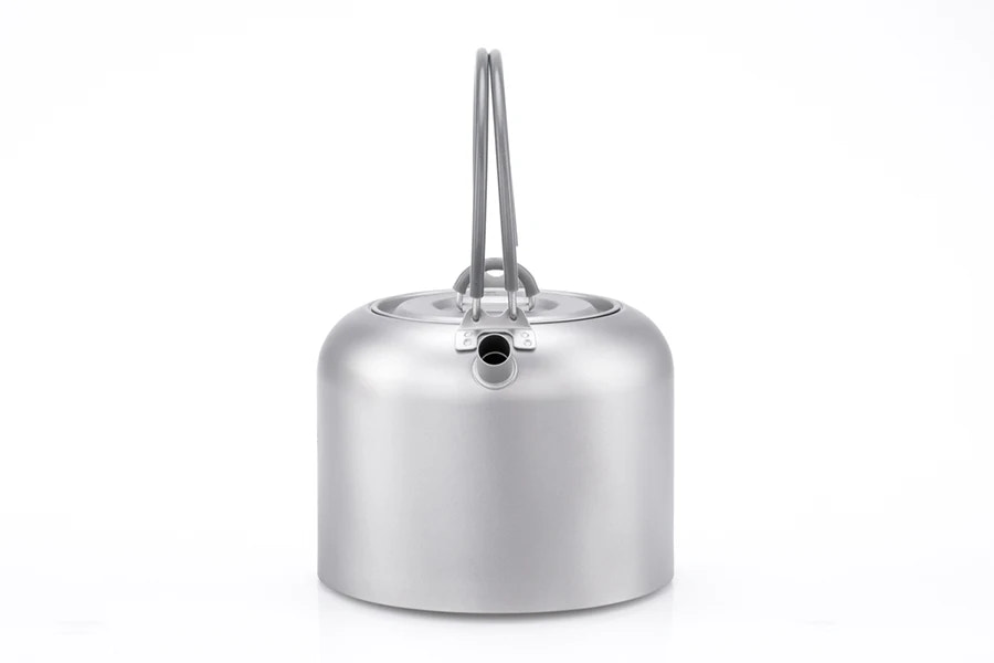 titanium kettle on a white background