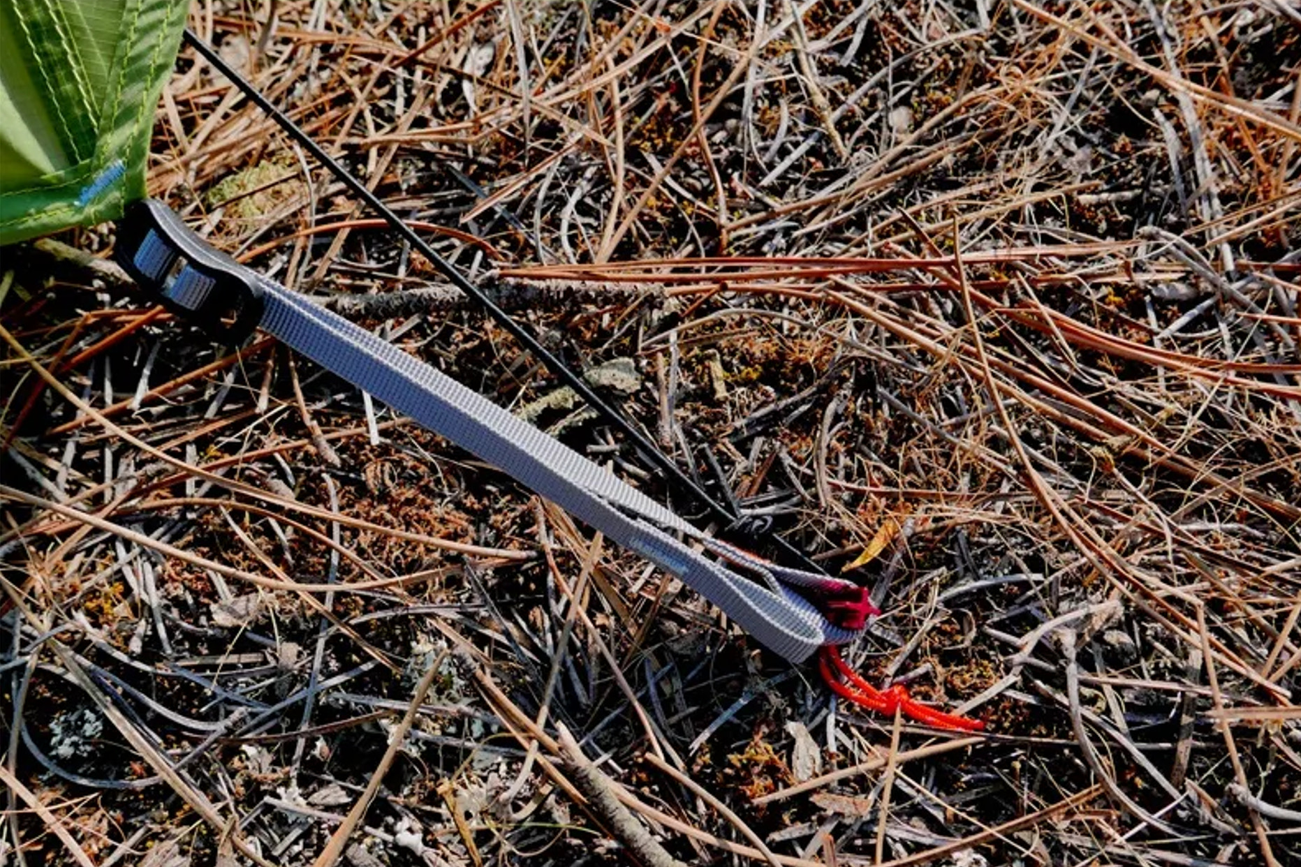tent peg in leaf liter