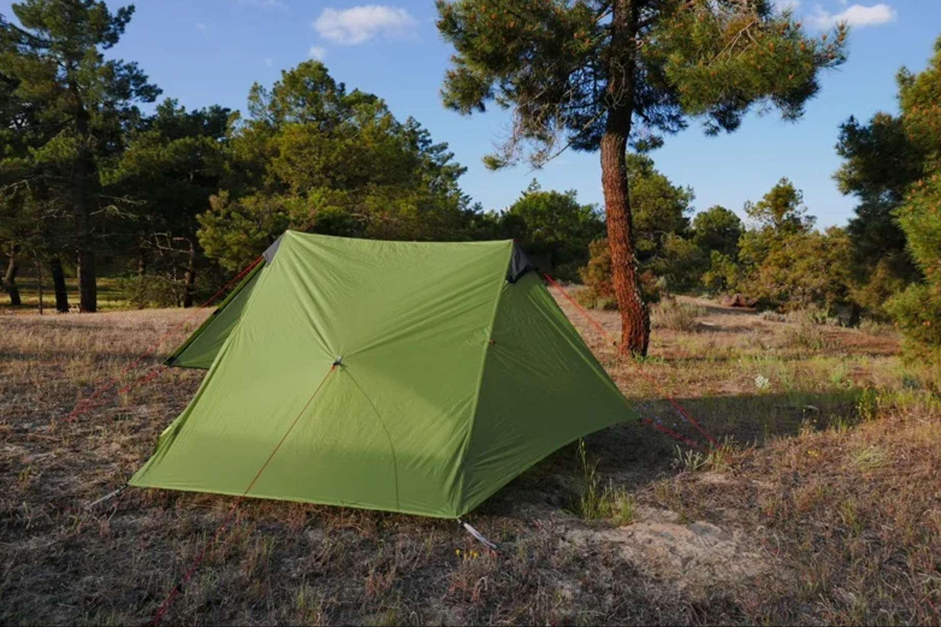 Green tent set up in a forest clearing with trees and blue sky.